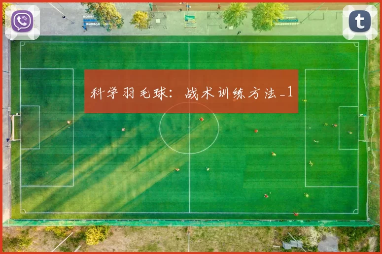 科学羽毛球：战术训练方法_1